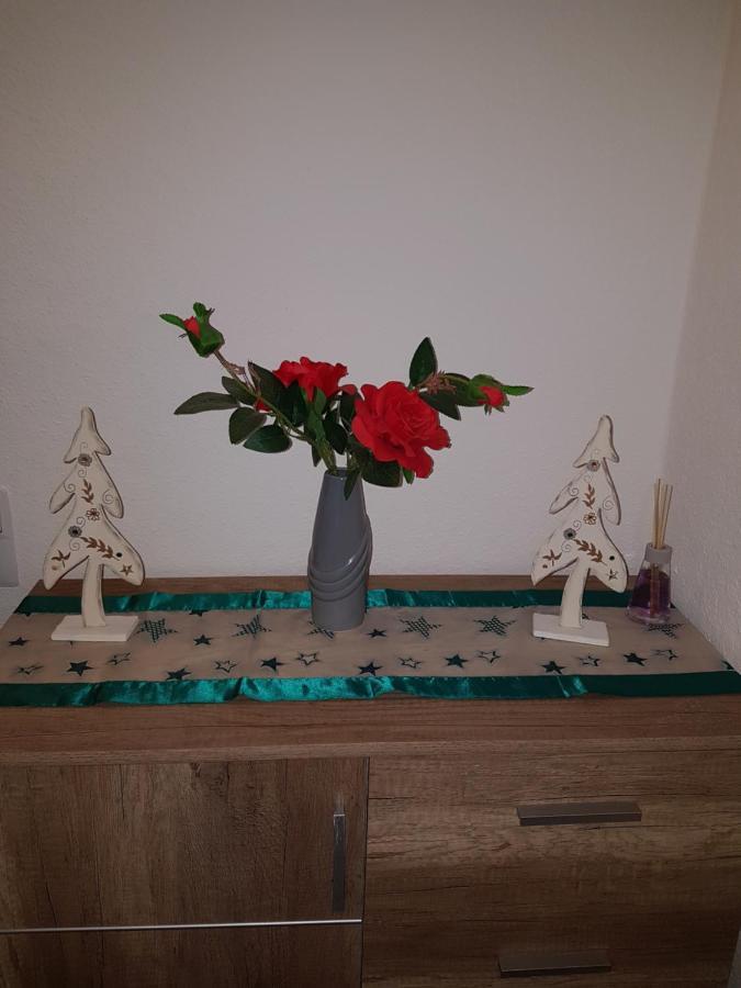 Apartments Nikol - Ludwigshafen Ngoại thất bức ảnh